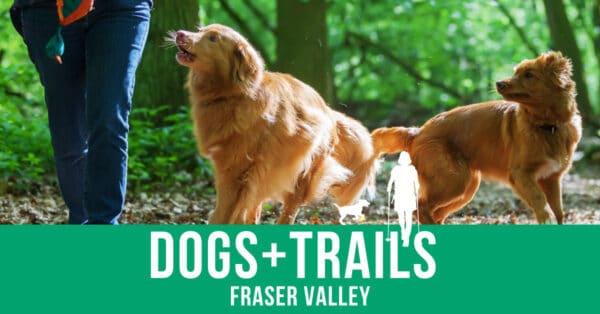 Fraser Valley Dogs and Trails Challenge