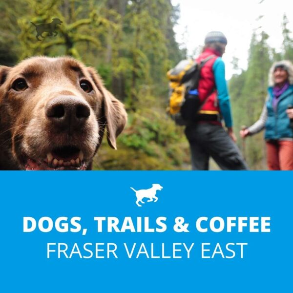 dogs and trails challenge chilliwack