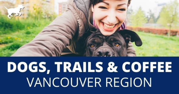 vancouver dogs and trails 10 trail challenge
